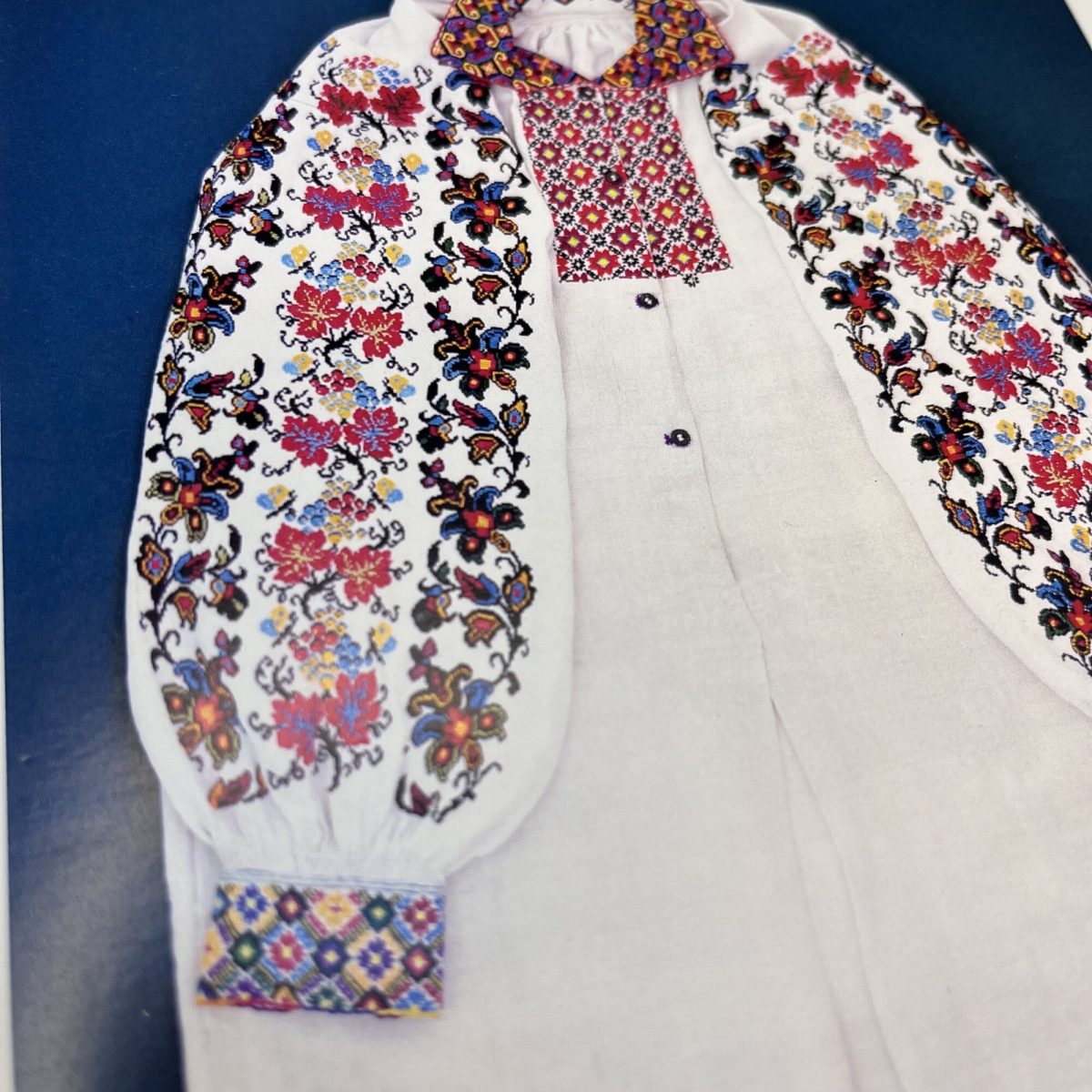 Схема жіночої вишиванки "Порічка" від Галини Забавської (craft & relax) - Зображення 2