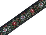 Стрічка жакардова ST163-394, 20мм, Чехія